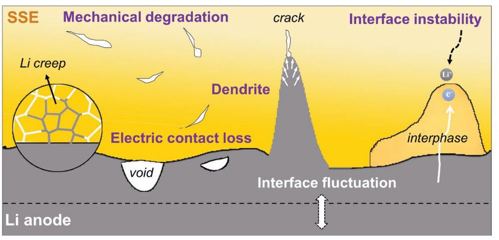 diagram interface between solid-state electrolyte and lithium anode batteries