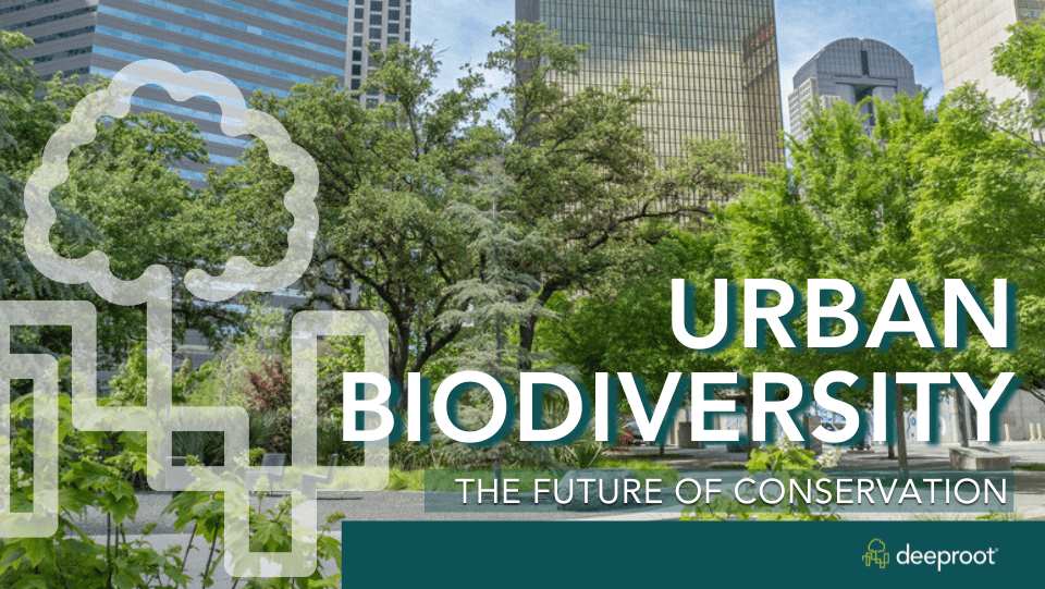 Urban Biodiversity in India